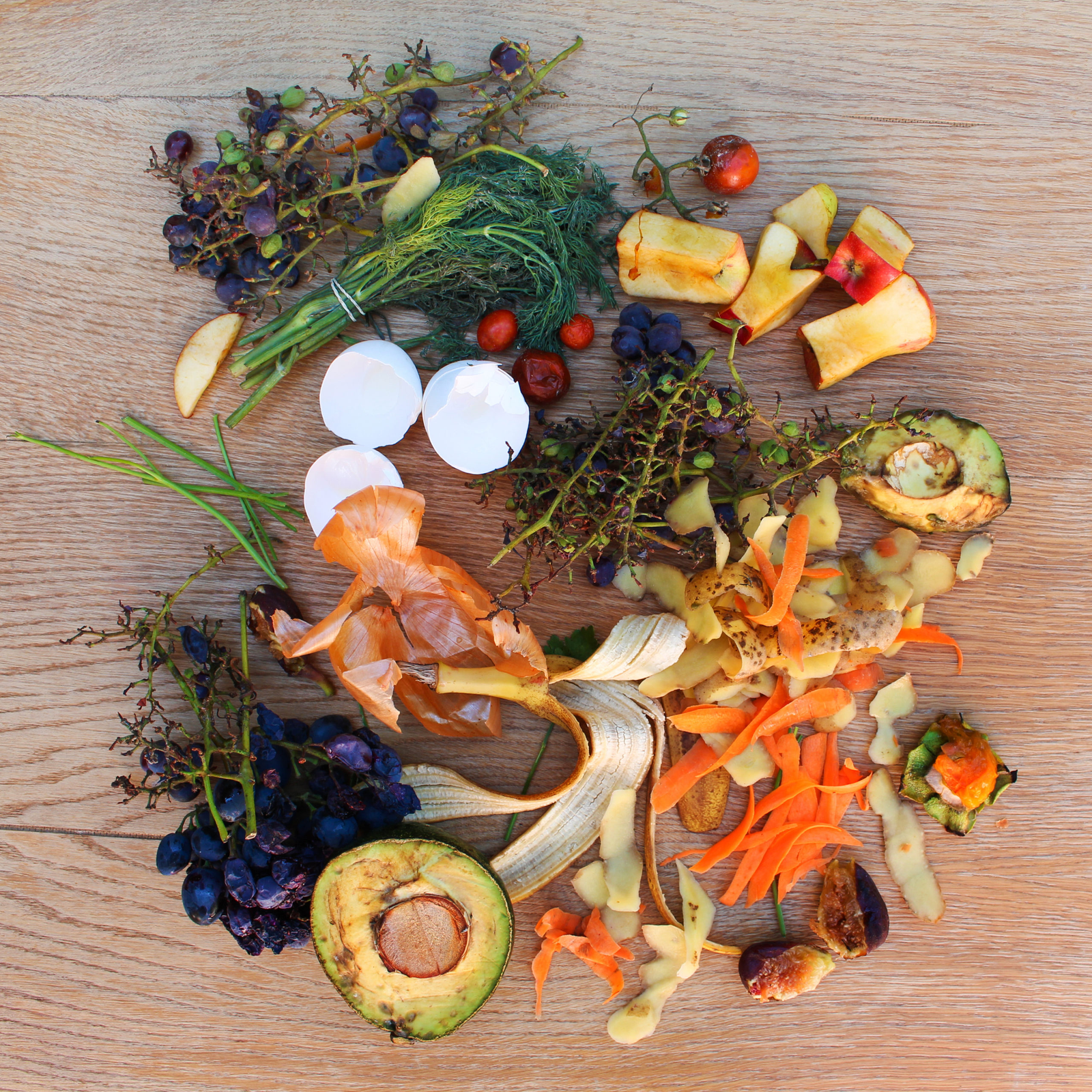 Residuos orgánicos en Chile: Guía completa para separar y reciclar